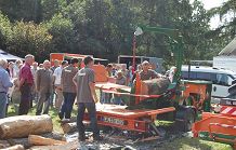 02.09.2012 Holzfest Friedrichsmoor